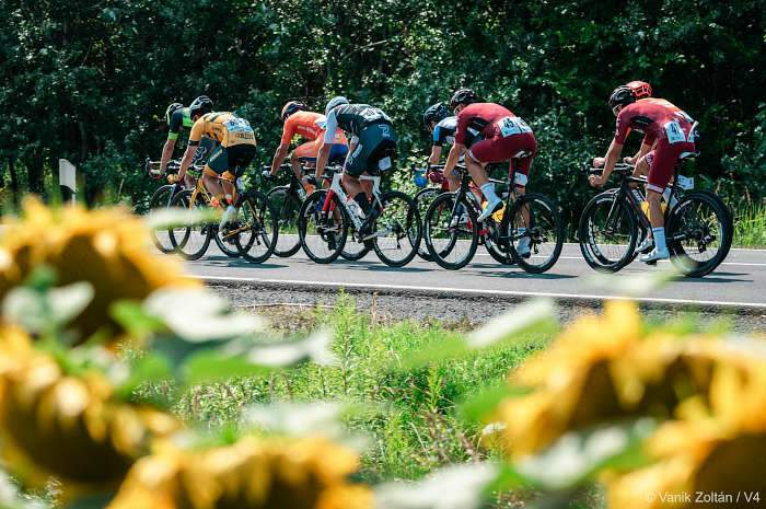 V4 Special Series 2019/1