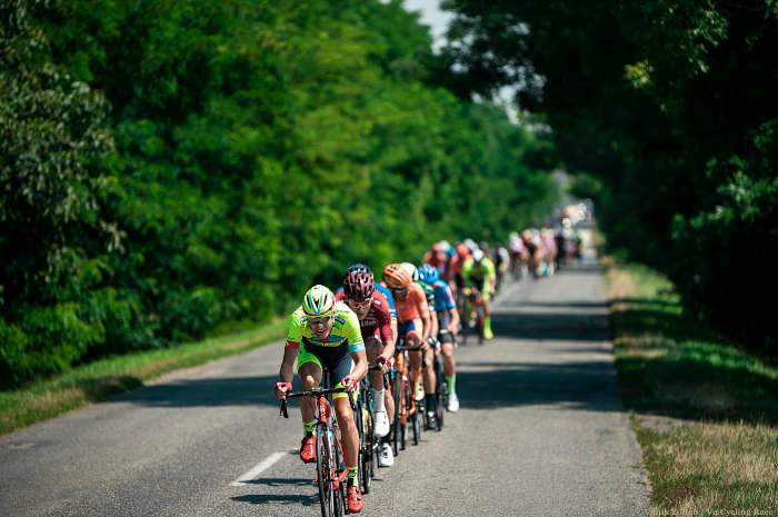 V4 Special Series 2019/2