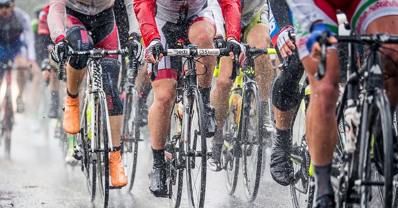 2015-ös versenyévad