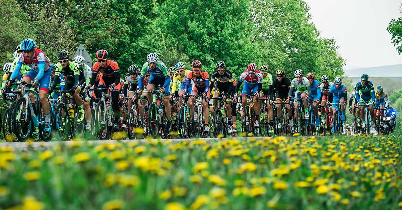 2017-es versenyévad