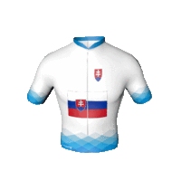 A Visegrádi Csoport szlovák trikója